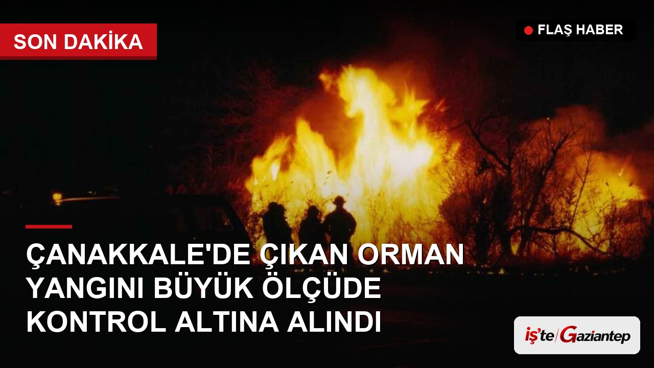 Çanakkale'de Çıkan Orman Yangını Büyük Ölçüde Kontrol Altına Alındı