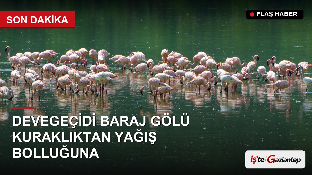 Devegeçidi Baraj Gölü'nde Kuraklığın Ardından Yağış Bolluğu Bir Yıl Arayla Görüntülendi