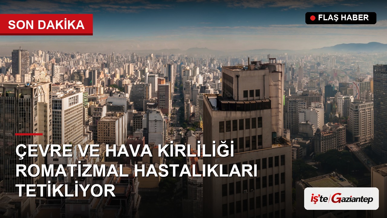 Çevre ve Hava Kirliliği Romatizmal Hastalıkları Tetikliyor
