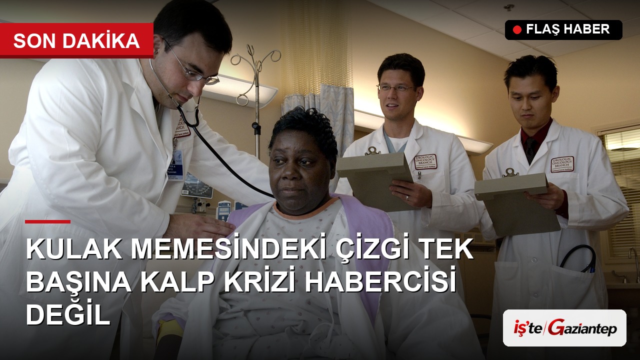 Kulak Memesindeki Çizgi Tek Başına Kalp Krizi Habercisi Değil
